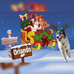 Meet your Posher, Elisa